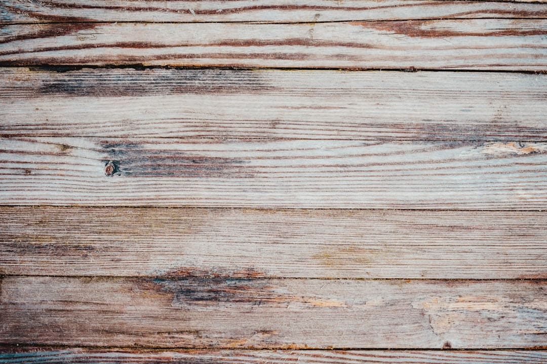 Textura decorativa em paredes de Indaiatuba: elegância acessível